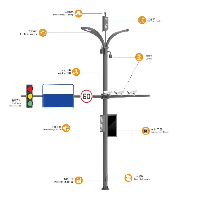 Camera Monitoring Pole